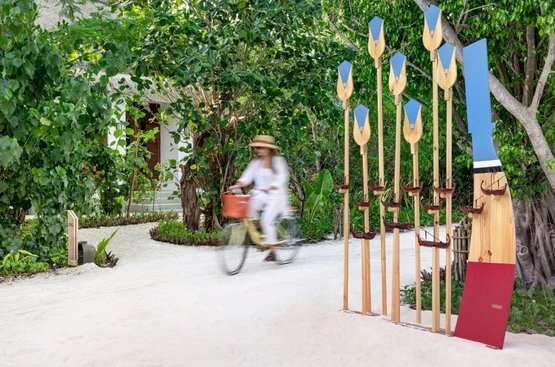 Мальдивы Hilton Maldives Amingiri Resort & Spa