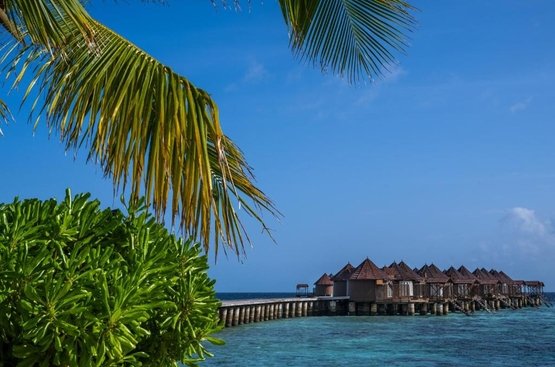 Мальдіви Nika Island Resort & Spa, Maldives