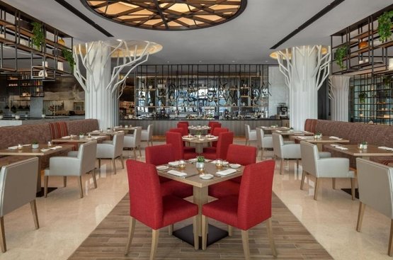 ОАЕ Marriott Marquis Dubai Creek 