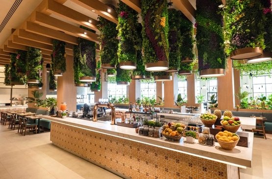 Домінікана Hard Rock Hotel & Casino Punta Cana - All Inclusive
