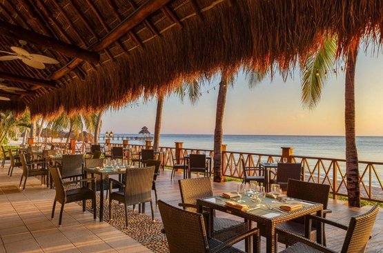 Мексика Secrets Aura Cozumel - Adults-only 