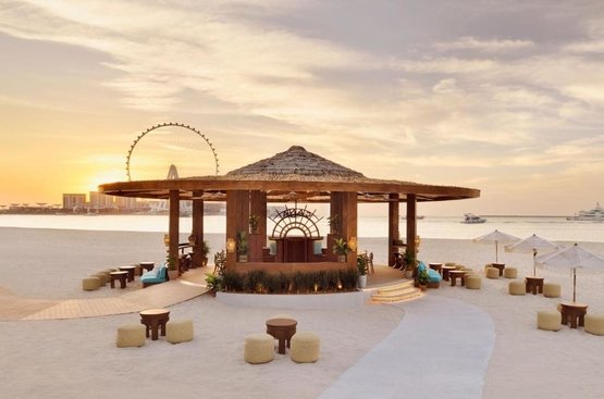 ОАЭ The Ritz-Carlton, Dubai