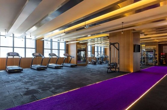 ОАЕ Hilton Dubai Al Habtoor City