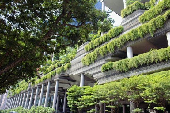 Сингапур PARKROYAL COLLECTION Pickering