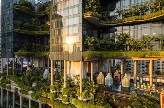 Сингапур PARKROYAL COLLECTION Pickering