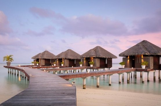 Мальдіви LUX* South Ari Atoll Resort & Villas