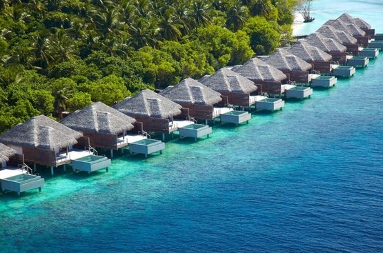 Мальдивы Dusit Thani Maldives, DELUXE