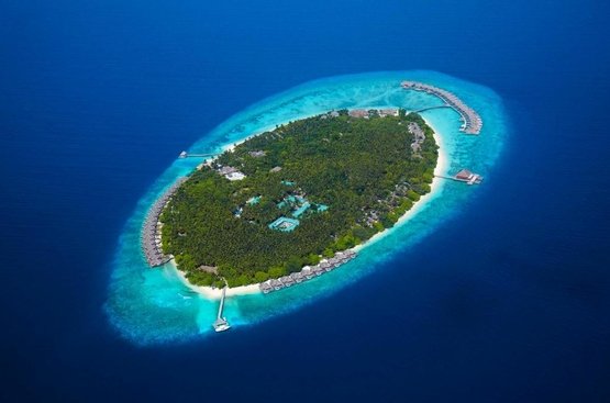 Мальдивы Dusit Thani Maldives, DELUXE