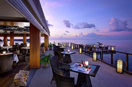 Мальдивы Dusit Thani Maldives, DELUXE