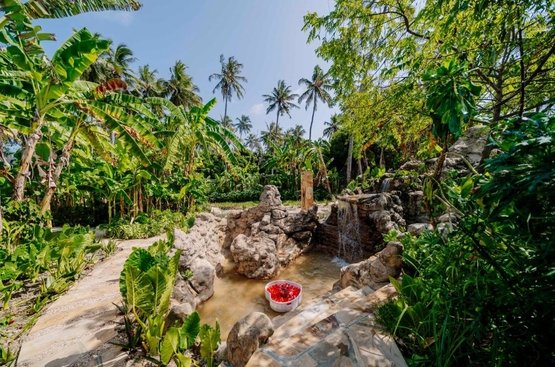 Танзанія Ycona Eco-Luxury Resort, Zanzibar
