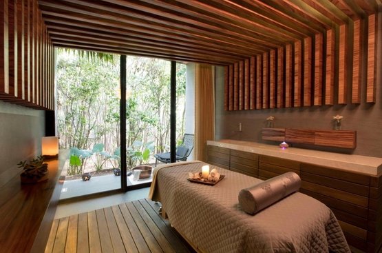 Мексика Grand Hyatt Playa del Carmen Resort