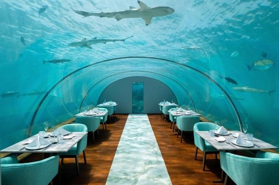 Мальдіви Conrad Maldives Rangali Island