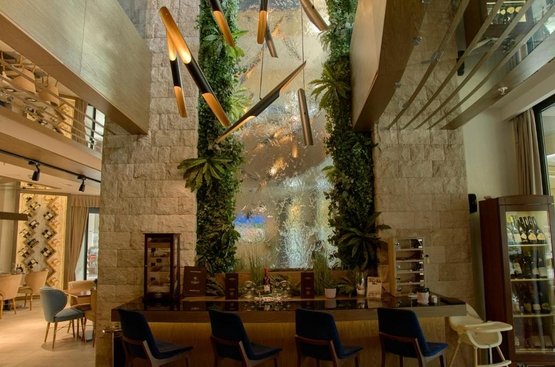 Чорногорія Hotel Imperial Conference & Spa