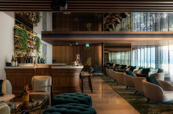 ОАЕ The St. Regis Downtown Dubai