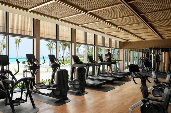 Мальдивы The Ritz-Carlton Maldives, Fari Islands