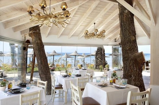 Греция Anthemus Sea Beach Hotel & Spa