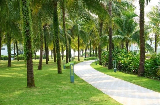 Вьетнам Wyndham Grand Phu Quoc