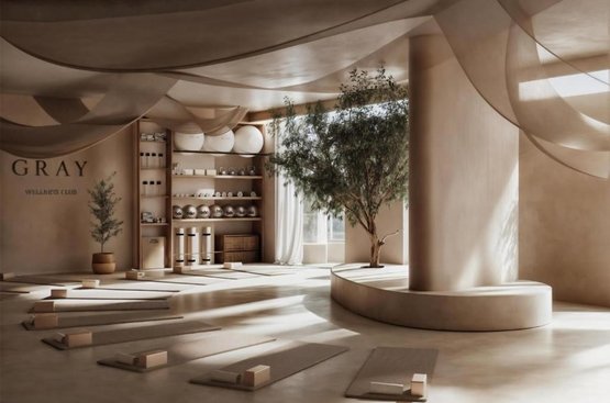 ОАЕ Kempinski Hotel Mall of the Emirates 