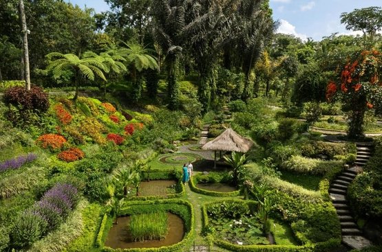 Індонезія (о.Балі) Padma Resort Ubud