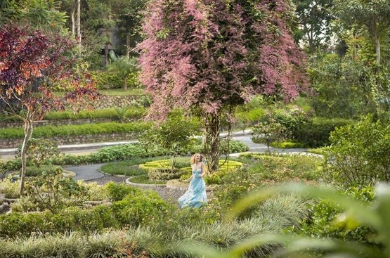Індонезія (о.Балі) Padma Resort Ubud