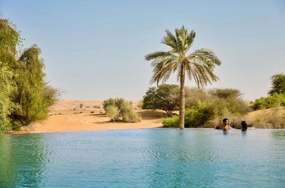 ОАЭ Al Maha, a Luxury Collection Desert Resort & Spa