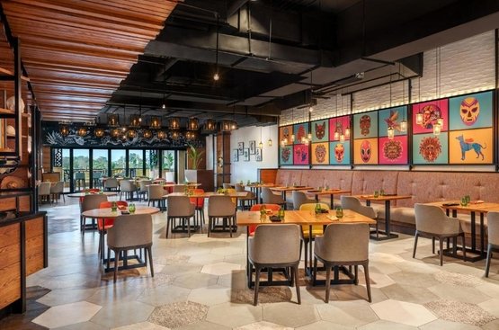 ОАЕ Hyatt Regency Dubai Creek Heights