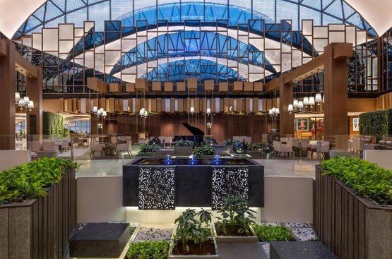 ОАЕ Hyatt Regency Dubai Creek Heights