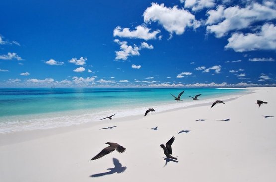 Сейшели Bird Island Lodge Seychelles 