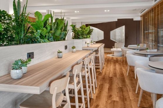 Испания Meliá Lloret de Mar