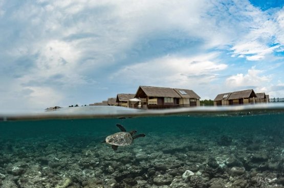 Мальдивы Shangri-La's Villingili Resort and Spa Maldives