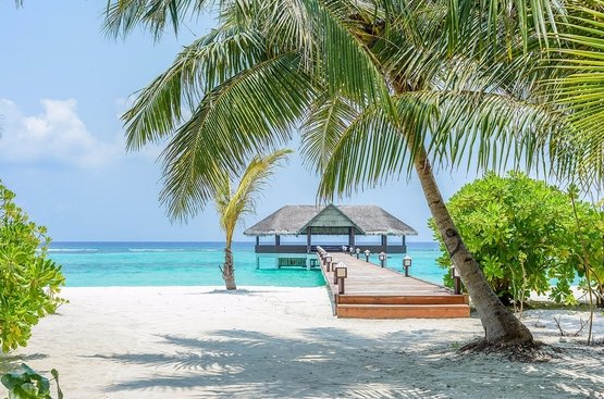 Мальдіви Palm Beach Island Resort & Spa