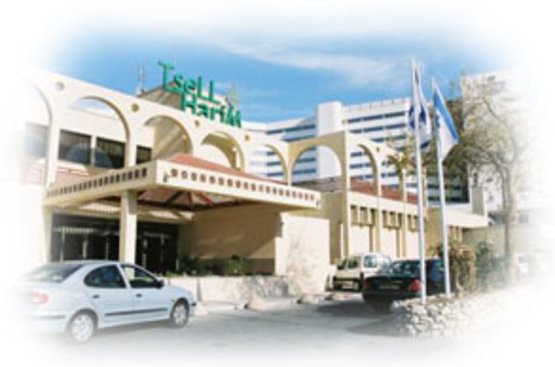 Ізраїль Tsell Harim Hotel