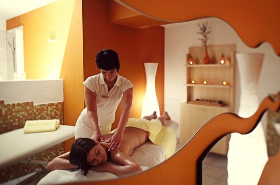 Словенія Grand Hotel Toplice