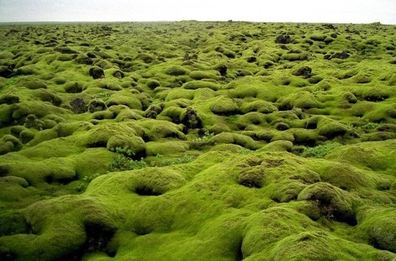 Ісландія. Рекламний тур, 122