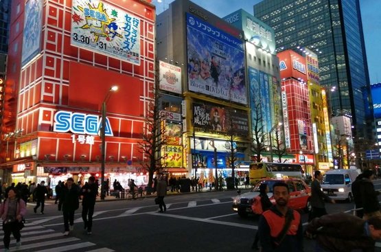 ЯПОНИЯ: Токио+ Одайба + Никко: индивидуальный тур по групповой цене, 113