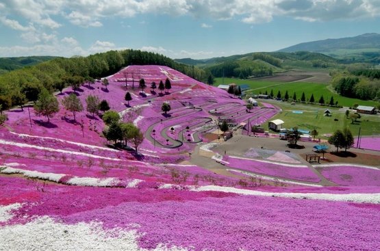 Класична Японія із поверненням з Осаки Травень (7 ночей), 118