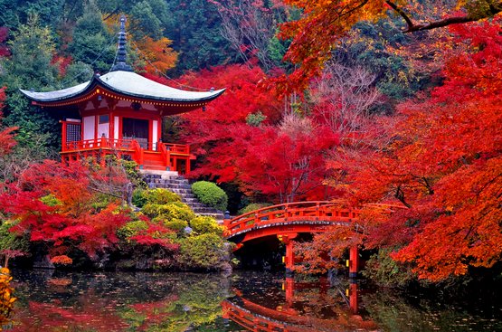 Японія — на клени момідзі, 118