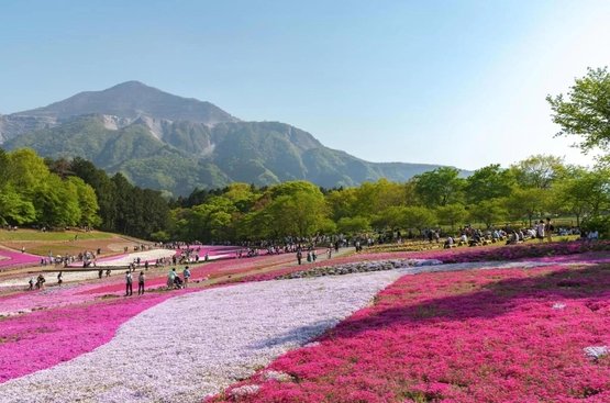 Гранд-тур Японією Травень (11 ночей), 118