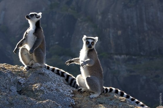 Мадагаскар. Подорож до країни баобабів, 115