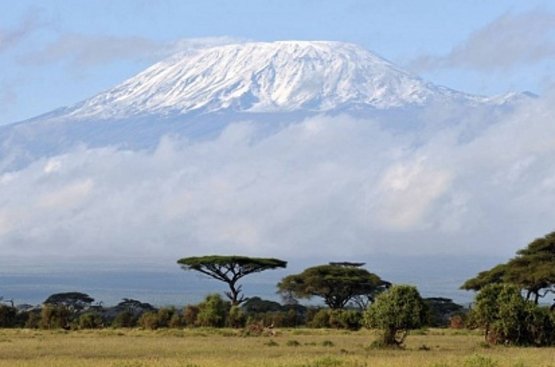 Восхождение на Килиманджаро, 116