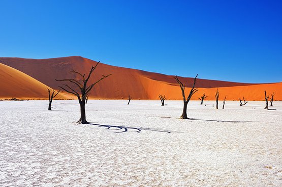 Дюны Намибии, 115