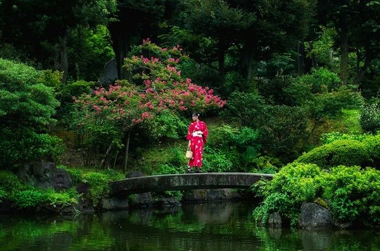 Класична Японія + джерела біля океану (Літо, 7 ночей), 118