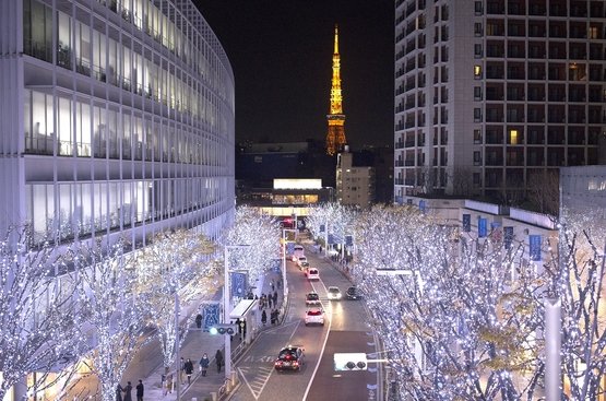 Новий рік у Токіо + гарячі джерела (7 ночей), 119