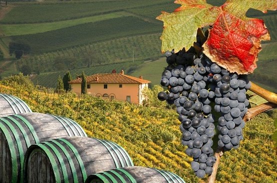 Вина и деликатесы Тосканы и Чинкве Терре, 112