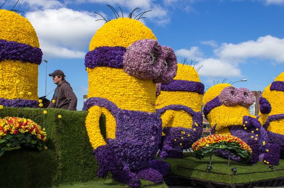 Нидерланды: Парад цветов и День короля в одном флаконе!, 118