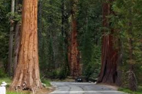 Захід США. Національні парки заходу США від Лос-Анджелеса до Солт-Лейк-Сіті, 124