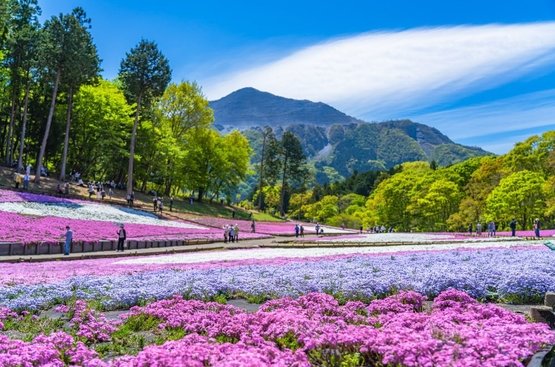Японія зі сходу на захід з поверненням із Осаки Травень (9 ночей), 118