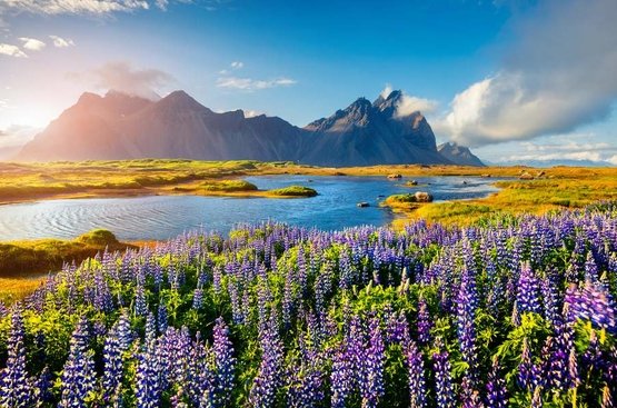 Исландия. Краски лета., 128