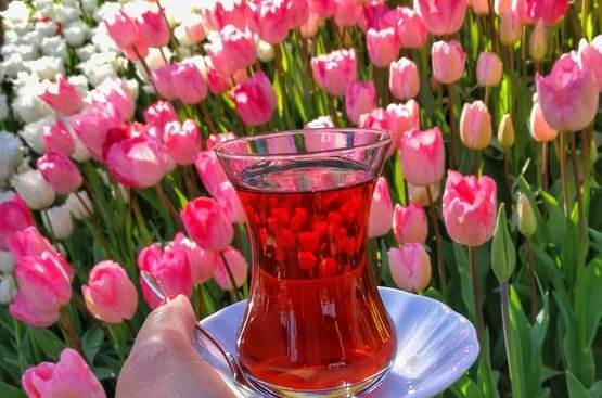 Фестиваль тюльпанов в Стамбуле, 112