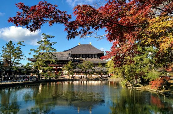 Японські клени, гарячі джерела та снігові мавпи (Осінь, 11 ночей), 119